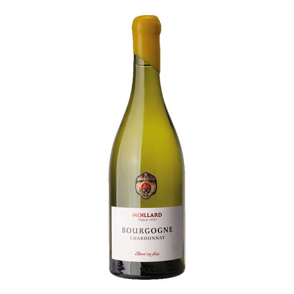 MOILLARD BOURGOGNE CHARDONNAY