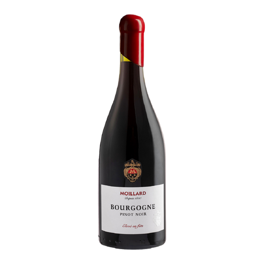 MOILLARD BOURGOGNE PINOT NOIR